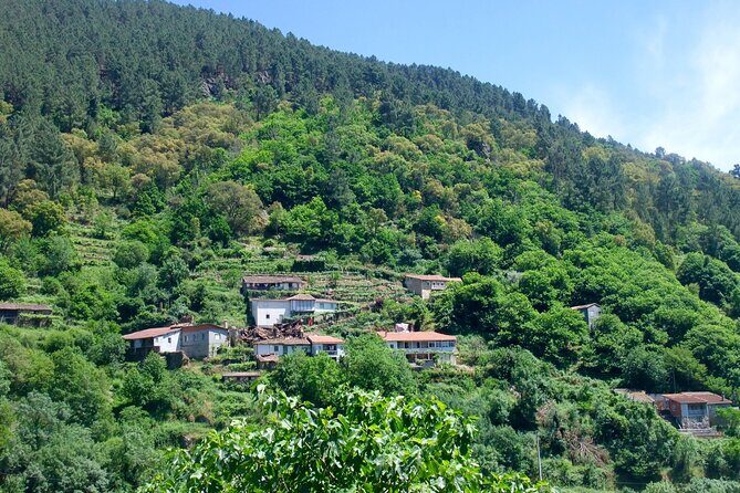 Explore Ribeira Sacra by Boat: Unique Excursion from Santiago - Key Points