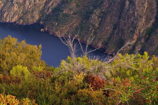 Explore Ribeira Sacra by Boat: Unique Excursion from Santiago - Practical Considerations: Value, Comfort, and Experience