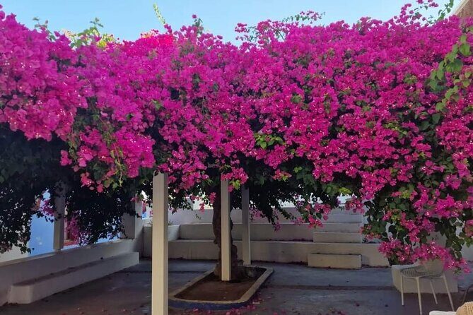 Explore Santorini in 3 hours With a Local Guide - Who Will Love This Tour?