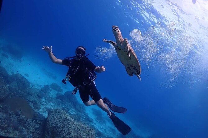 Explore Scuba Diving at Racha Yai Island from Phuket - Exploring the Scuba Adventure at Racha Yai Island from Phuket