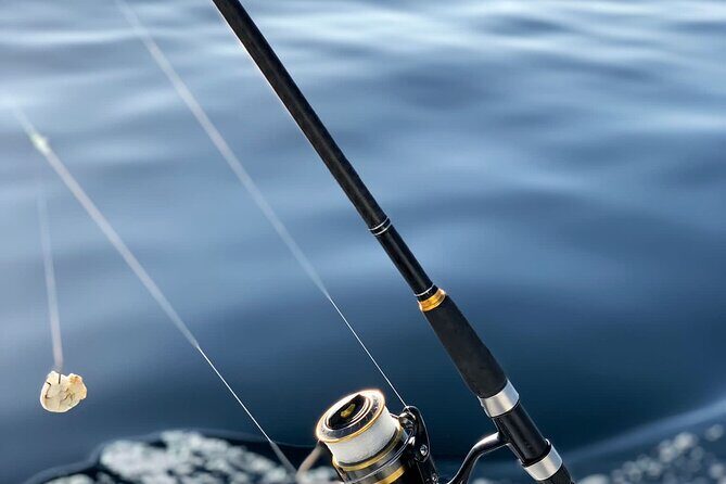 Explore Sesimbra Sports Fishing - Who Is This Tour For?