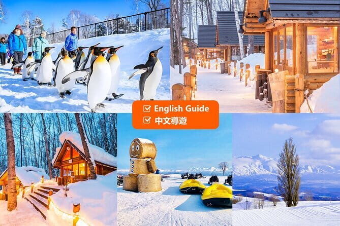 Explore Shikotsu Ice Festival (day tour) - Who Should Consider This Tour?