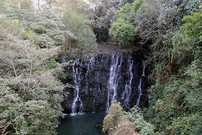Explore Shillong From Guwahati - The Experience in Detail