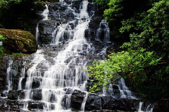 Explore Shillong From Guwahati - Transportation and Guide Experience