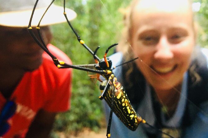 Explore Singharaja Forest Reserve (mirissa/weligama & Galle) - What Travelers Say