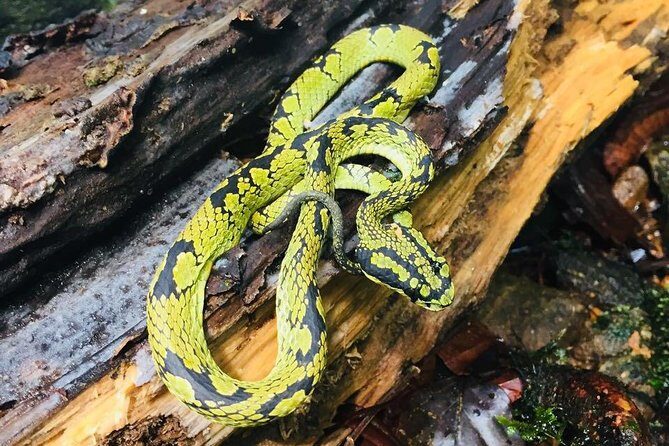 Explore Singharaja Forest Reserve (mirissa/weligama & Galle) - Final Words