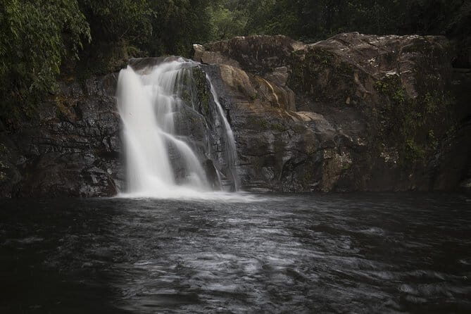 'Explore Sinharaja' rainforest - Adventure Tour (Full day) - Key Points