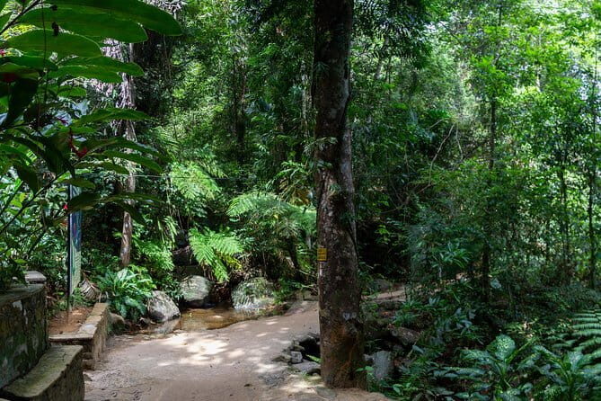 'Explore Sinharaja' rainforest - Adventure Tour (Full day) - Discovering the Heart of Sinharaja
