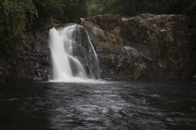 'Explore Sinharaja' rainforest - Discovery Tour (half day) - Swimming Opportunity