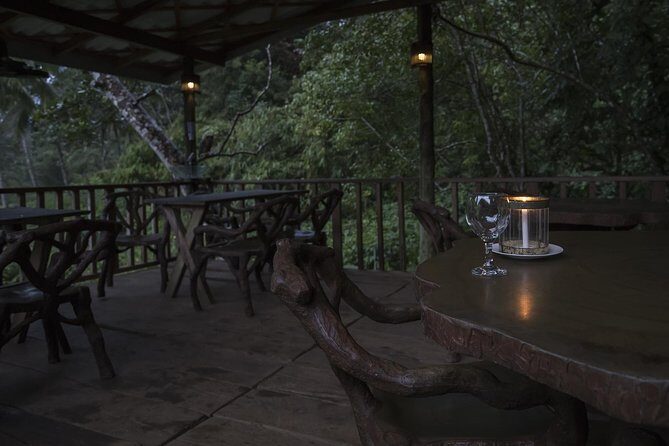 'Explore Sinharaja' rainforest - Discovery Tour (half day) - Return & End of Tour