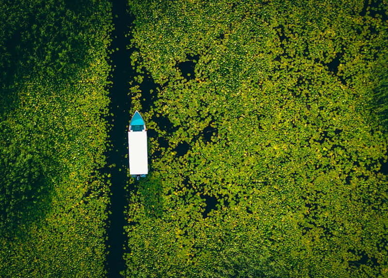 Explore Skadar Lake: Exclusive Guided Boat Falcon Tour! - Practical Details & Tips