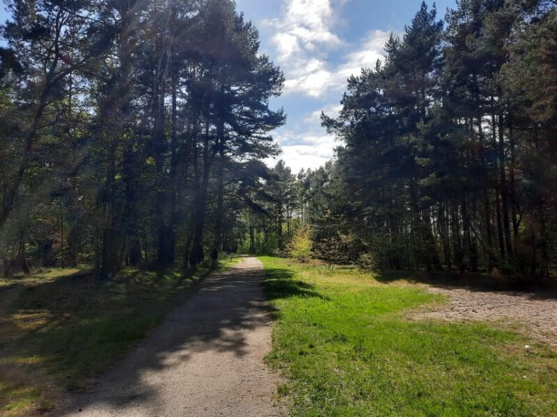 Explore Sobieszewo Island: Nature Walk & Wildlife Tour - Key Points