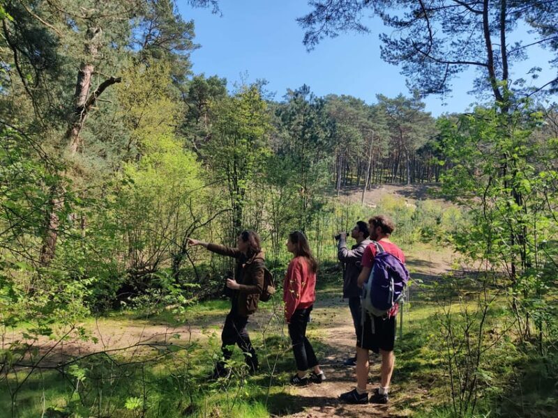 Explore Sobieszewo Island: Nature Walk & Wildlife Tour - Who Would Love This Tour?