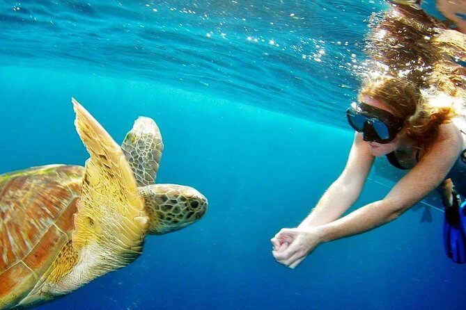 Explore Surin Islands: Ultimate Snorkeling Day Trip from Phuket - Key Points