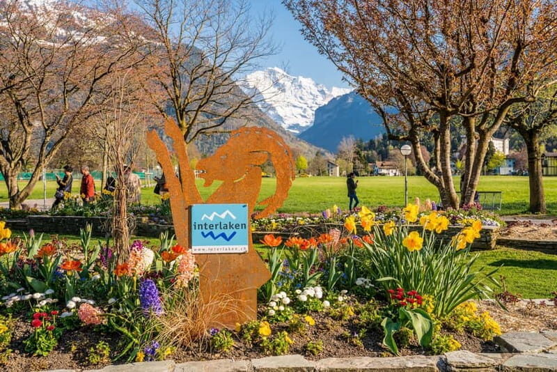 Explore Swiss Villages: Interlaken-Grindelwald(Private Tour) - The value of this private tour