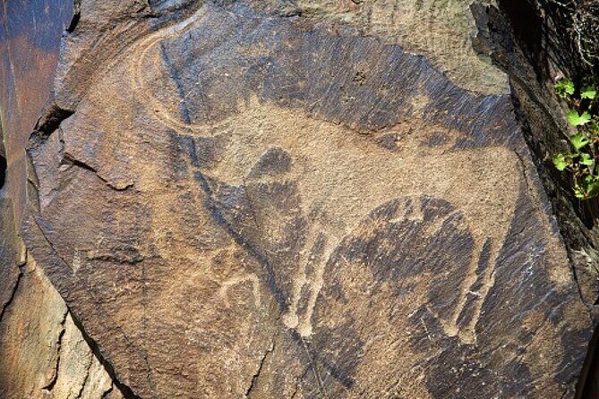 Explore Tanbaly and Tamgaly Tas in 1 day! - Who Will Love This Tour?