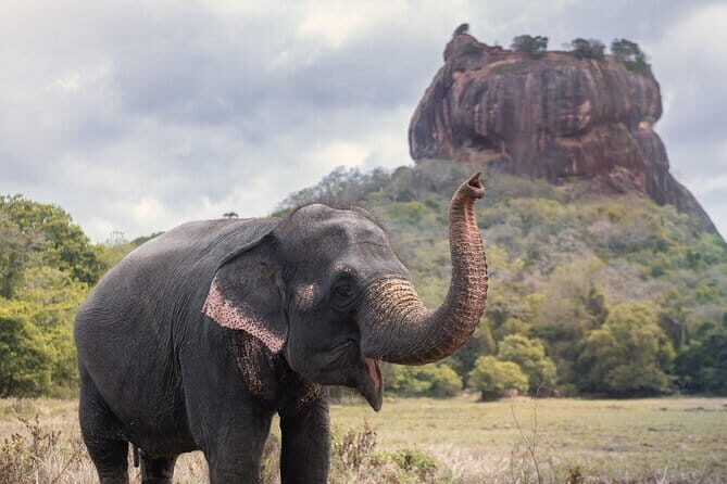 Explore the Ancient City of Dambulla and Sigiriya From Negombo. - An In-Depth Look at the Tour Experience