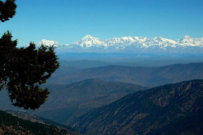 Explore the best of forest & nature in Nainital (4.5 hours Guided Tour) - Who Should Consider This Tour?