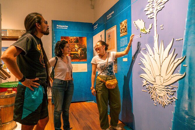 Explore the Best Pulquerías A Taste of Traditional Mexican Drink - The Flow and Practicalities