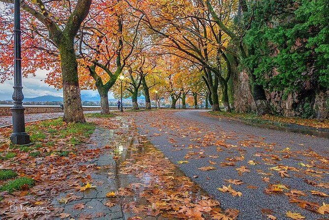 Explore the capital of Epirus, Ioannina. - Who Would Love This Tour?