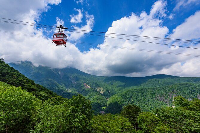 Explore the Culture and History of Nikko with this Private Tour - Why Choose This Nikko Private Tour?