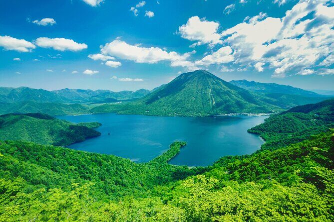 Explore the Culture and History of Nikko with this Private Tour - Who Should Consider This Tour?