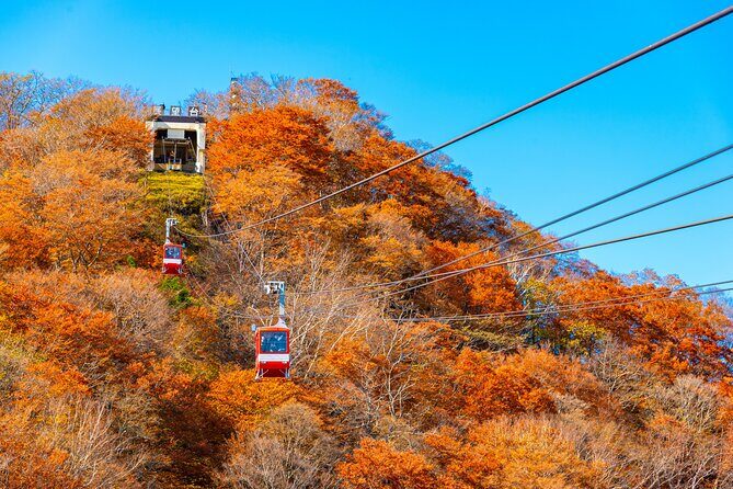 Explore the Culture and History of Nikko with this Private Tour - FAQs