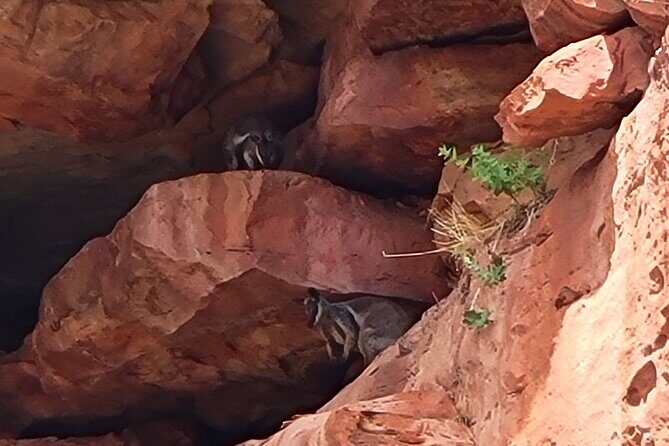 Explore the Hidden Gorges: Kalbarri 4WD, Hike, Canoe Experience - A Closer Look at the Tour Experience