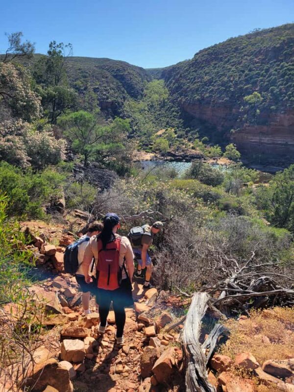 Explore the Hidden Gorges: Kalbarri N.P, 4WD, Hike, Canoe - Who Would Love This Tour?