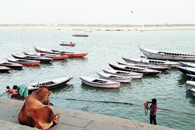 Explore the Highlights of Varanasi - Walking Through Varanasi: What to Expect