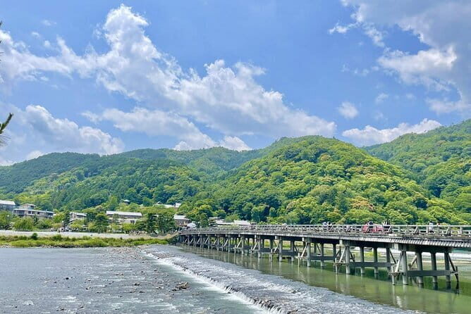 Explore the Historic Castle Town of Hikone from Osaka - Who Will Love This Tour?