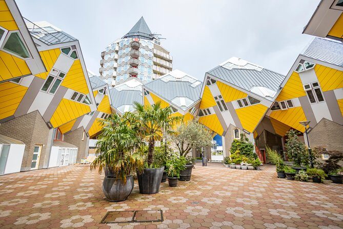 Explore the Instaworthy Spots of Rotterdam with a Local - An In-Depth Look at the Rotterdam Instaworthy Tour