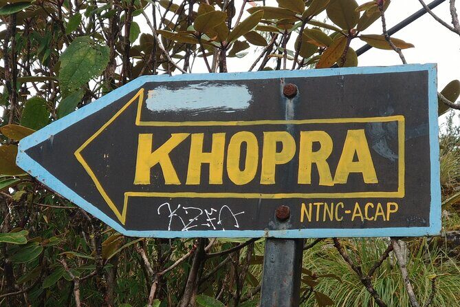 Explore the Khopra Ridge: A Stunning Trek Experience Amidst the Himalayan Beauty - Authentic Experiences and Practical Tips