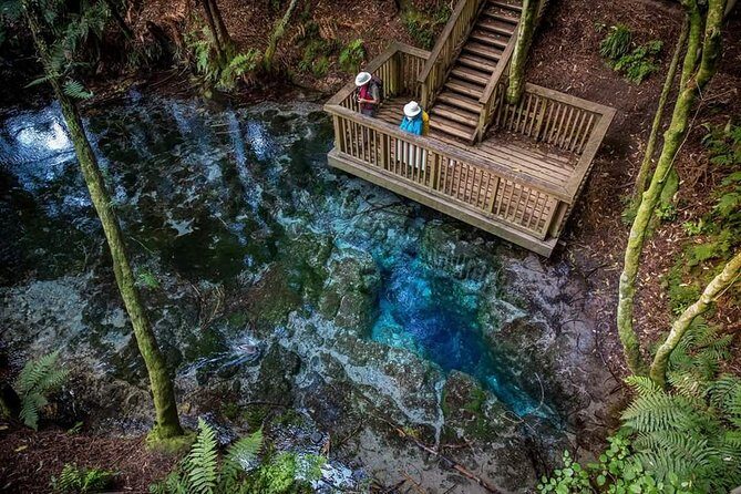 Explore The Lakes Tour - Final Thoughts: Who Should Consider This Tour?