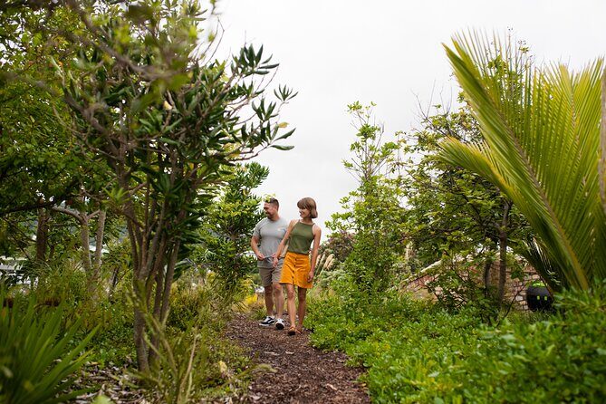 Explore the legacy of artist, ecologist, architect, visionary - Final thoughts