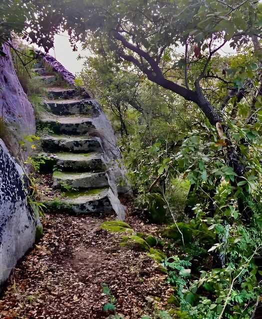 Explore the Murgia Materana UNESCO Park (Italiano & Espanol) - Authentic Insights from Past Participants