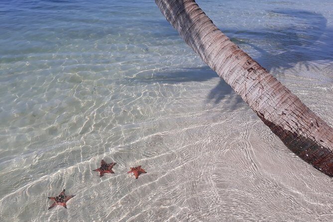 Explore the north of Phu Quoc island by Classical US Army Jeeps - FAQs