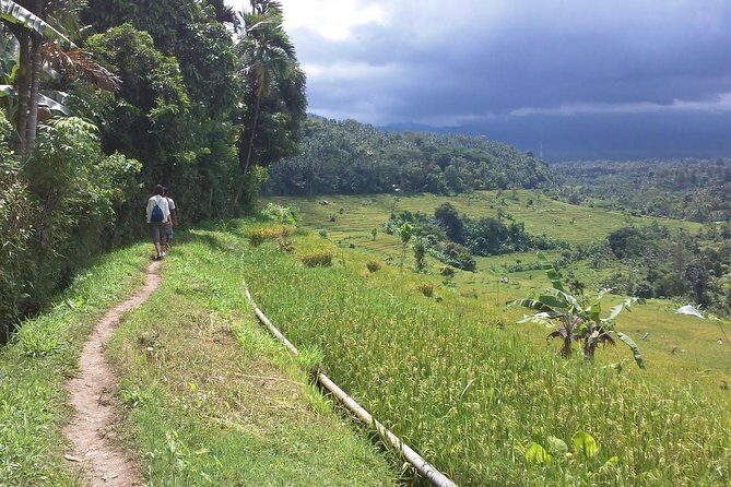 Explore The Original of Bali Nature with Kastala Trekking Including Lunch - A Deep Dive into the Bali Kastala Trekking Experience