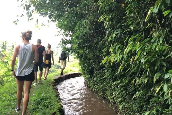 Explore The Original of Bali Nature with Kastala Trekking Including Lunch - Final Thoughts