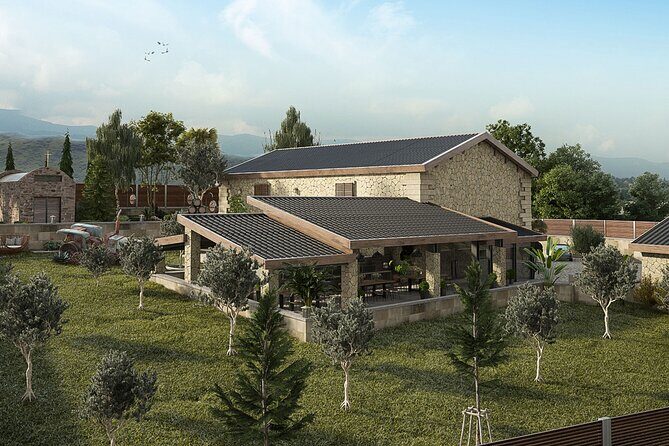 Explore the Secrets of Wine and Olives - A Deep Dive Into the Itinerary and Experience