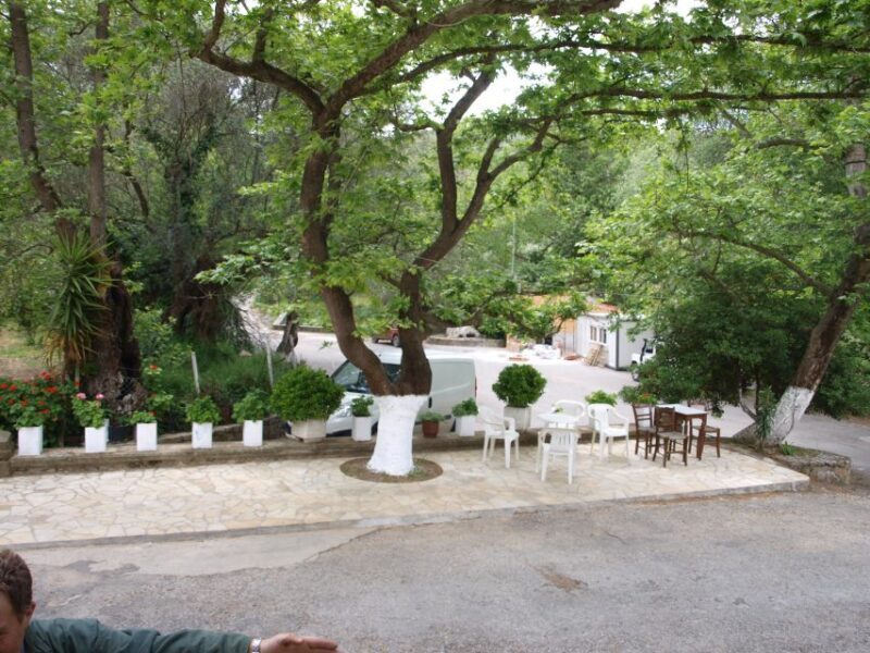 Explore the Secrets of Wine and Olives in Chania - Key Points