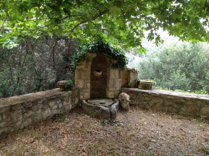 Explore the Secrets of Wine and Olives in Chania - Final Thoughts: Who Should Book?