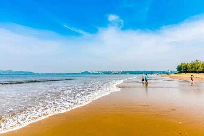 Explore The South Goa Full-Day City Sightseeing Tour - Pricing and Value