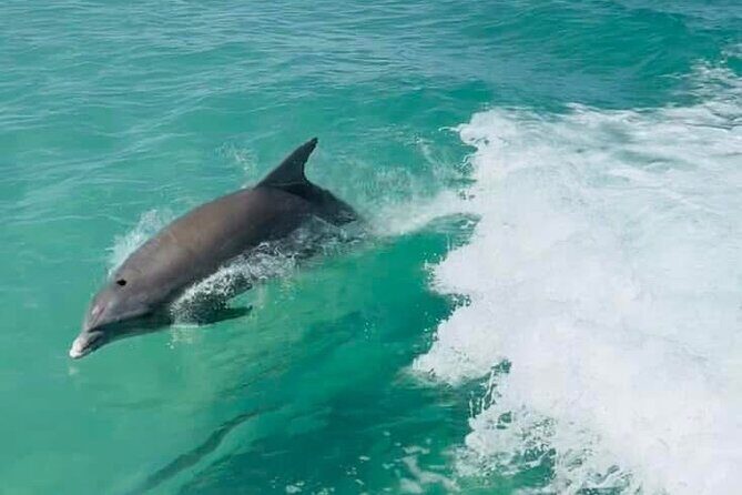 Explore the waters of Anna Maria Island on a private 3hr charter - Exploring Anna Maria Island on a Private 3-Hour Boat Tour: A Detailed Review