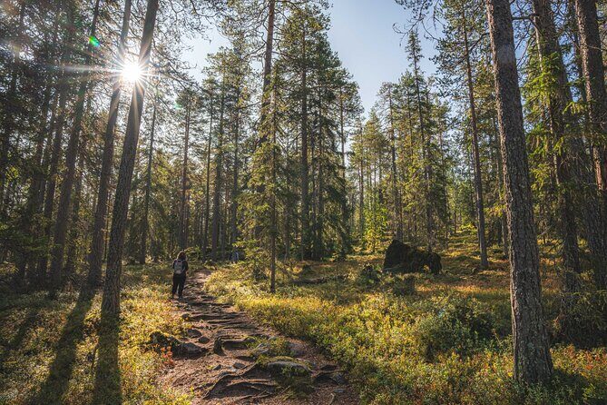 Explore the Wilderness (Summer & Autumn) - Final Thoughts