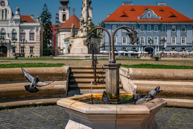 Explore Timisoara in 60 minutes with a Local - Key Points