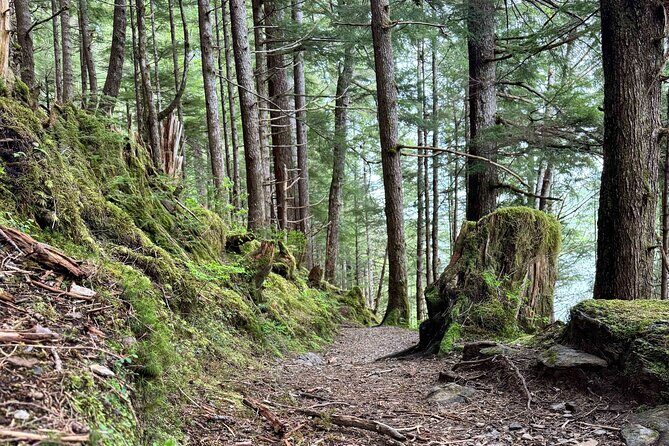 Explore Tongass National Forest on Connell Lake Trail Hike - Exploring Tongass National Forest on Connell Lake Trail Hike: An In-Depth Review
