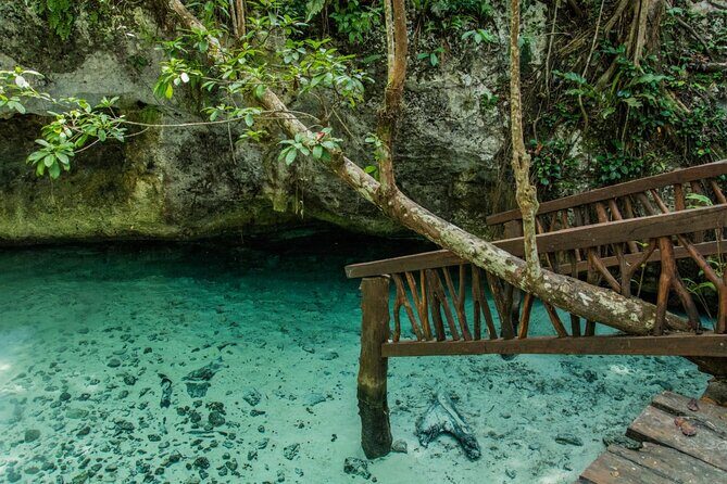 Explore Tulum and Dos Ojos Cenote with lunch and transportation - FAQ
