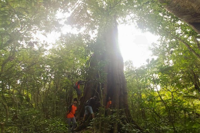 Explore Twin Lake Jungle Trekking and Canoeing - The Sum Up