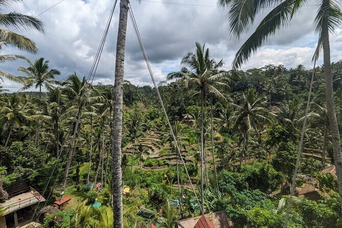 Explore Ubud Art Market, Monkey Forest and Rice Terraces - A Deep Dive into the Ubud Tour Experience